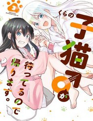 Bé Mèo Đang Chờ Tôi Ở Nhà